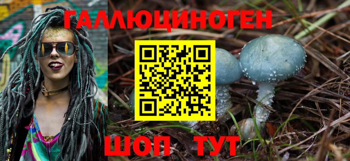 Галлюциногенные грибы прущие грибы  Вход с VPN  Киселёвск 