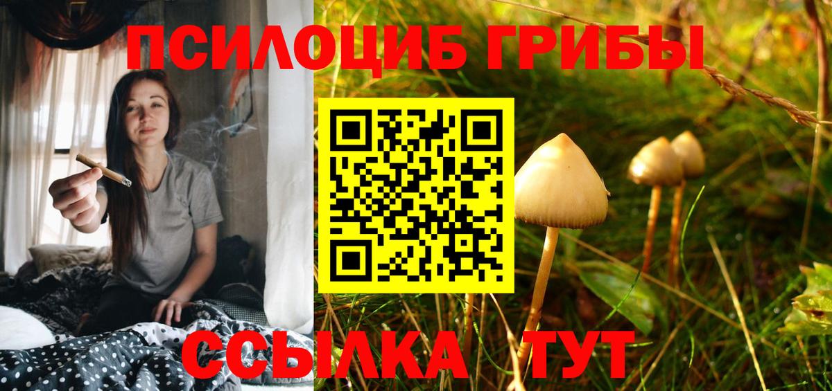 Галлюциногенные грибы GOLDEN TEACHER Киселёвск